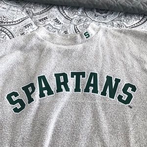 PINK long sleeve, grey, Spartan sweater